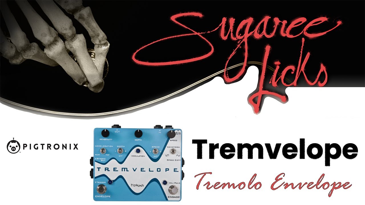 Pigtronix Tremvelope Effect Pedal Demonstration