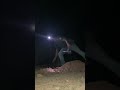 Gold nugget with my gpx4500