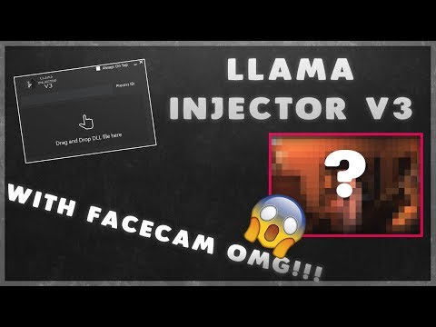 Llama Injector V3 W Facecam Omg Fast Injection Injector For Roblox And Cs Go Youtube - roblox hexus injector
