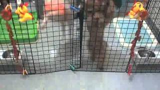 20120118-191647.avi
