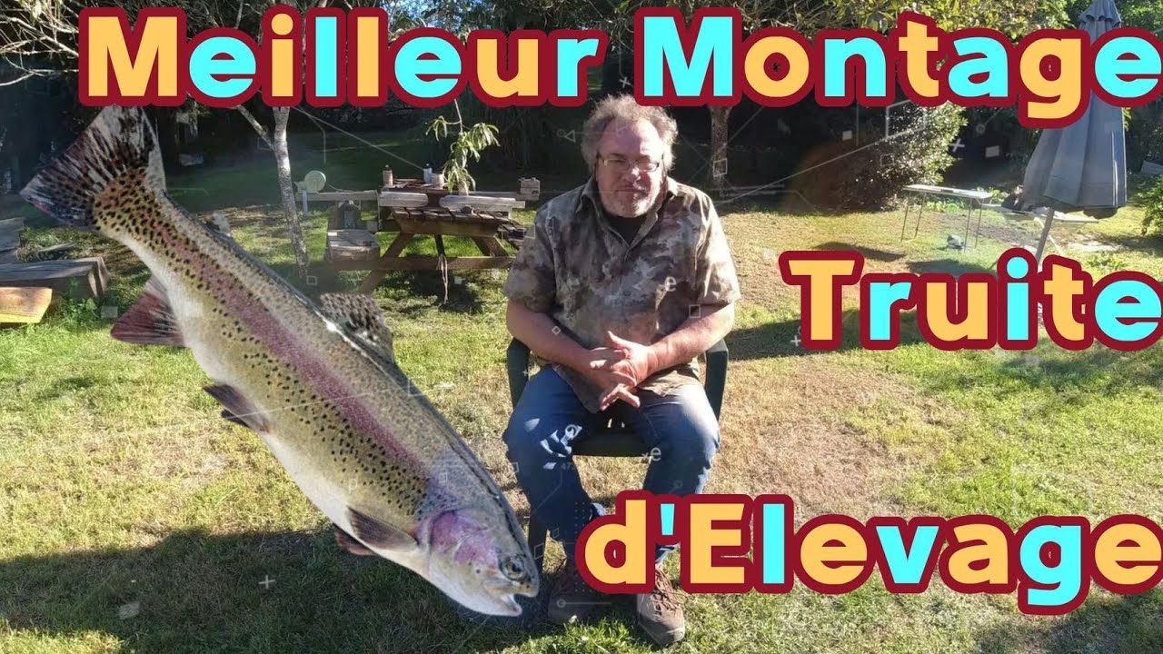Meilleur Montage Truite d'Elevage (N°285)