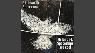Sidewalk Sparrows (feat. Spaceships are Cool) screenshot 4