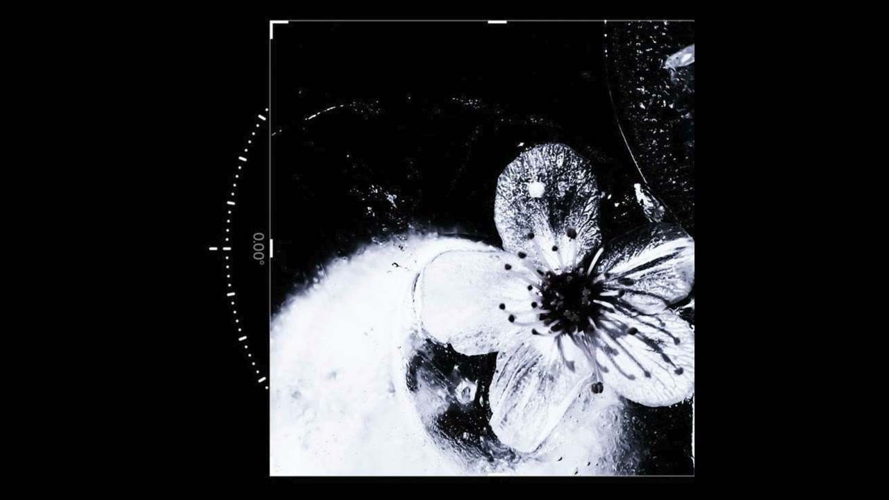 [FREE] Ninho x L2B - “Éden Gelé” | Dark / Piano Type Beat 2026