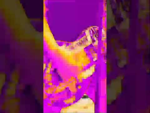 Undergod - Lain Saukur Raheut | Hellprint United Day VI