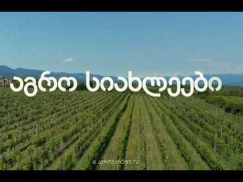 აგრო სიახლეები - 8 (სეზონი 12)