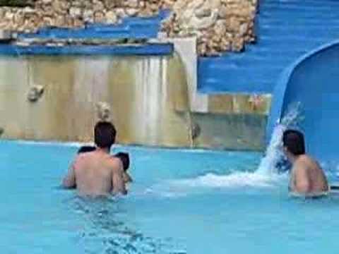 family pool time - YouTube