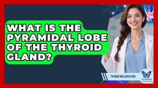 What Is The Pyramidal Lobe Of The Thyroid Gland? - Thyroid Wellness Hub