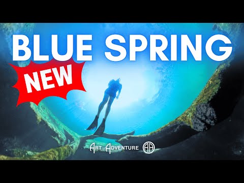 What S New At Blue Spring And Why You Ll Love It