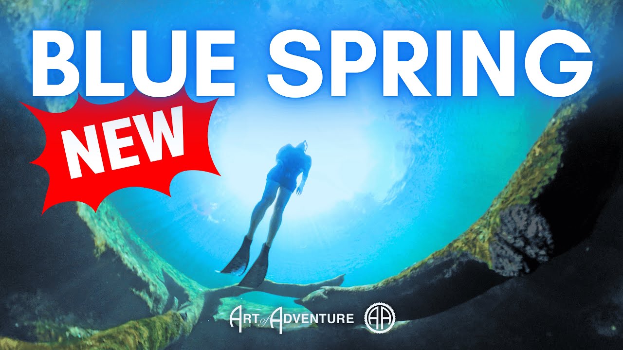 What's New at Blue Spring (and Why You'll Love It!) - YouTube