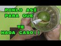 TU PAREJA TE HARÁ CASO!! 100% EFECTIVO.PODEROSO Hechizo con limón