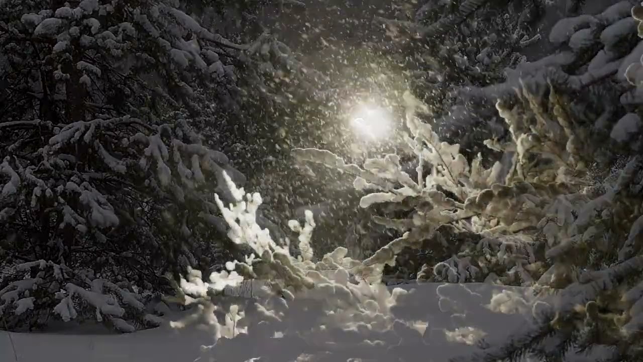 НА ЗАВЕЯННОЙ ВЕРСТЕ