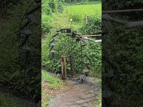 🌊 A peaceful waterwheel in the countryside #asmr #countrylife #rurallife