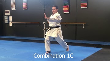 Shitoryu Shukokai Karate Combinations 1- 5C
