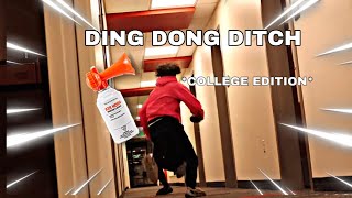 EXTREME DING DONG DITCH **COLLEGE EDITION** | GONE WRONG