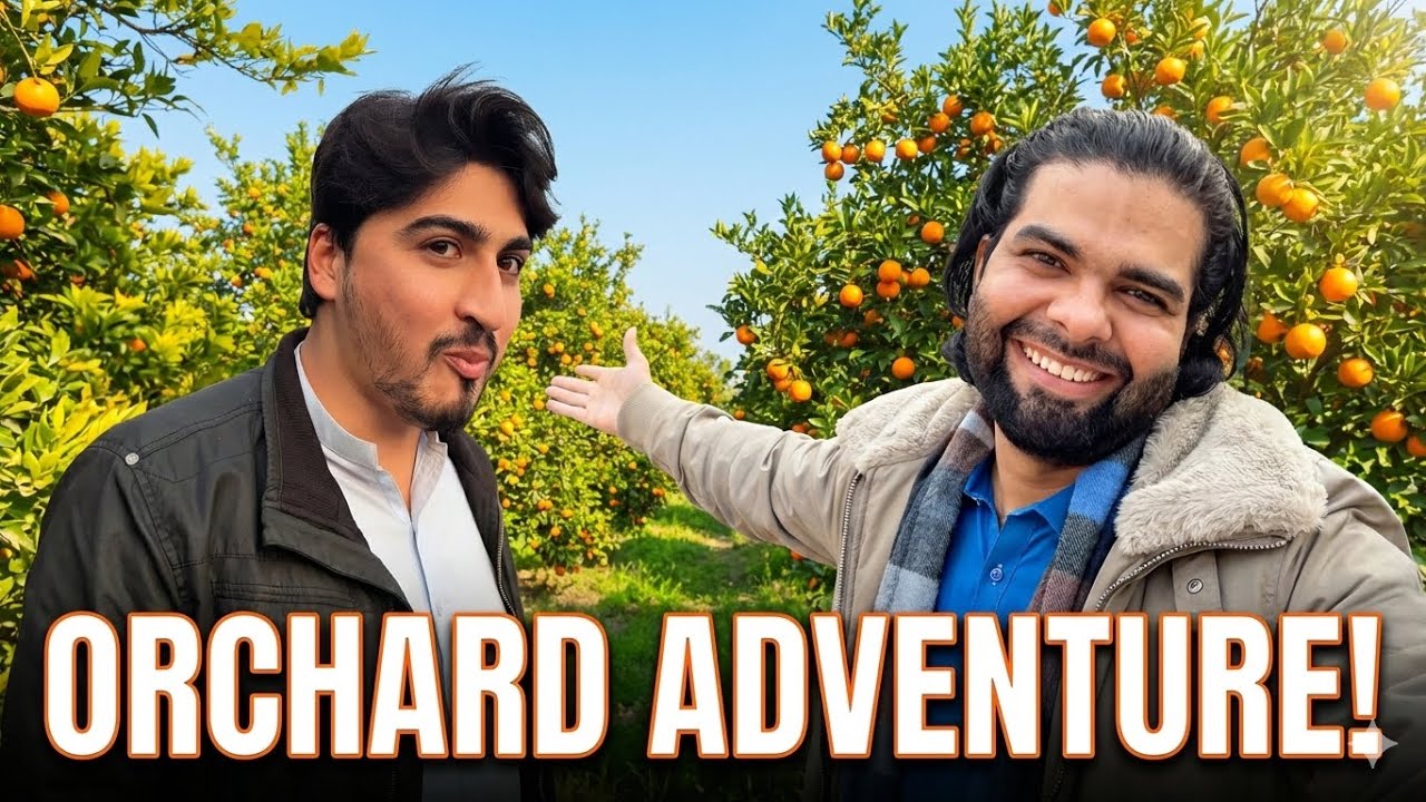 ORANGE ORCHARD VLOG || Yaseen Malak || Okboys 