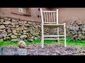 Making a chair from a walnut tree by hand