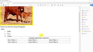 c# iTextSharp pdf에 테이블 만들기 40화