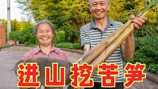 农村老夫妻进山挖苦笋，斗嘴过程太有趣？回来配猪蹄一烧，真下饭