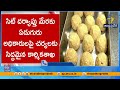 Labour Department Issues Notices to Seven Officials Over Tirumala Adulterated Laddoo Controversy