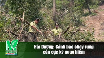Hải Dương: Cảnh báo cháy rừng cấp cực kỳ nguy hiểm