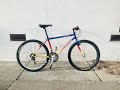 1994 diamond back bike restoration