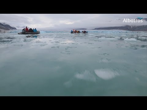 Video: Mosbollar Vandrar I Arktis. De Drivs Av Något Okänt - Alternativ Vy