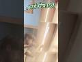 हार्ड प्रोफाइल #shorts #viral #electrical# electricalwork #profile litht