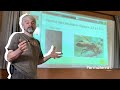 Gestion du frelon asiatique et apiculture, où en sommes-nous ? avec Pascal Gaultier