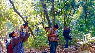 Top 12 secret Pro Tips for Bird Photography : NO One will tell you Top 12 secret Pro Tips for Bird Photography : NO One will tell you