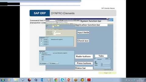 SAP Security Tutorial   Online Training Video  Live project Explanation1