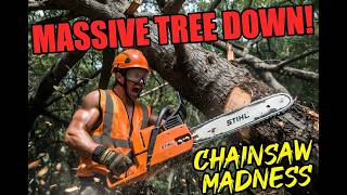 Precision Tree Climber Live: Taking Down Ancient Giant Tree