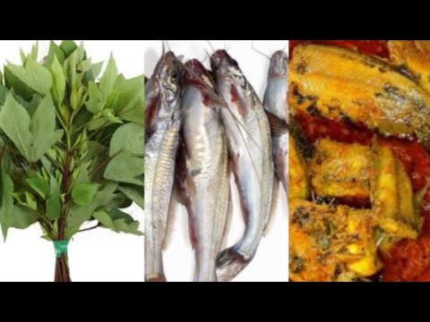Tengana machhi or Ambadi ka Fish Curry spicy Recipe. - YouTube
