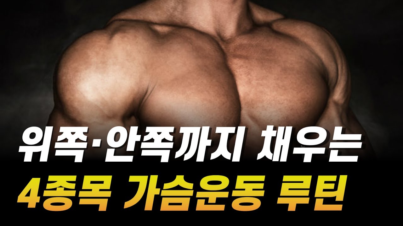 가슴 근육을 골고루 넓게 꽉 채워주는 과학적인 운동 루틴