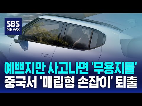 예쁘지만 사고나면 '무용지물'…중국서 '매립형 손잡이' 퇴출 / SBS