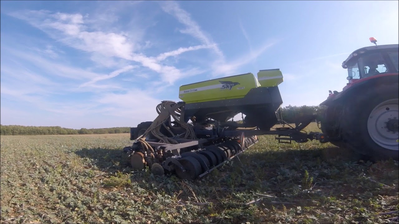 Semis de blé 2017 avec un  semoir sky easy drill & Massey Ferguson 7624 !