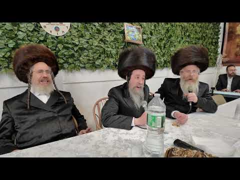 Modzitzer Kumzitz in Boro Park, Sukkot 2025 - חול המועד סוכות - מודז'יץ