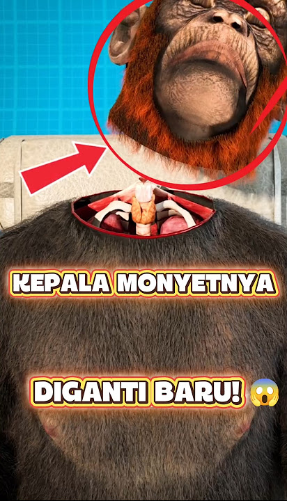 VIRAL‼️Monyet ini kepalanya di tuker😰😱🐵 #viralvideo #funfacts #ytshorts #shorts #viral #fyp