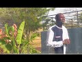 YESU LAI BY SAITOTI LEBENE FULL HD VIDEO 