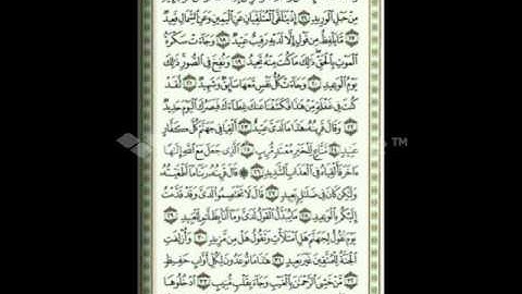 الشيخ بدر السلمي - تلاوة خاشعة