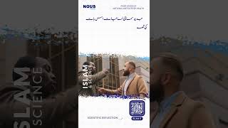 Verbal Aggression #nouscomplex #science #islam #reflection #modern #sociolinguistic #language #short