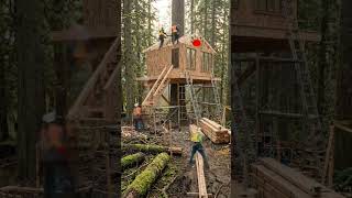 I Built an EPIC Treehouse Cabin in the Middle of the Forest 🌲🔥 | Dream Survival Shelter