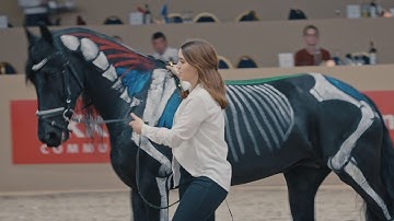 Evenverslag/bedrijspromo met interviews