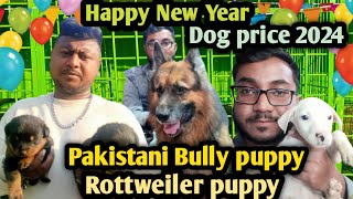 Pakistani Bully puppy | Rottweiler puppy price bd| German Shepherd price in bd |Dog price in 2024