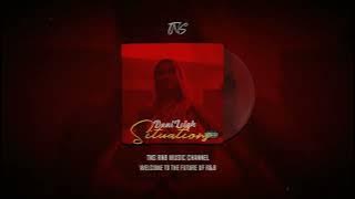 DaniLeigh - Situations