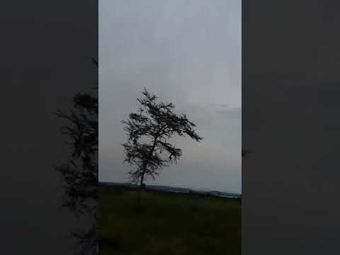 Video: Wakati wa kutumia kiangazi?