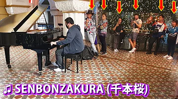 I played SENBONZAKURA on piano in public