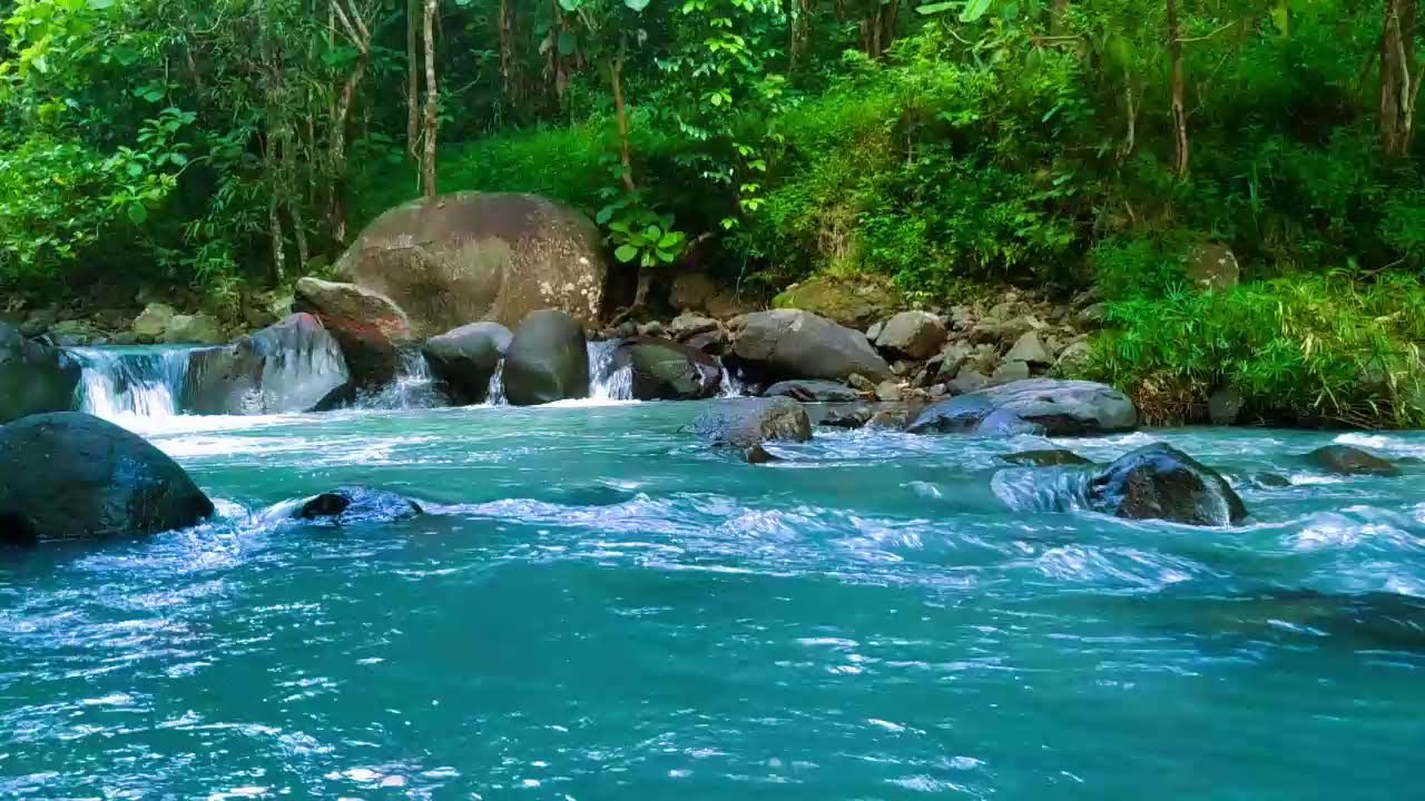 Ambient Water Sounds of a Flowing Stream | Nature White Noise for Sleep, Focus, and Healing