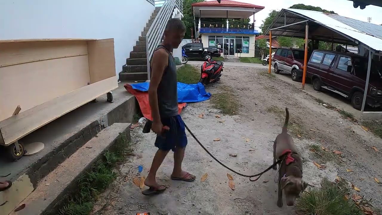Making a Food / Drink Cart - Will sell Kalua Pig and POG Hawaiian comfort food for the Philippines.