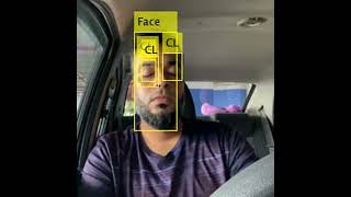 Video Drowsiness Detection-Day