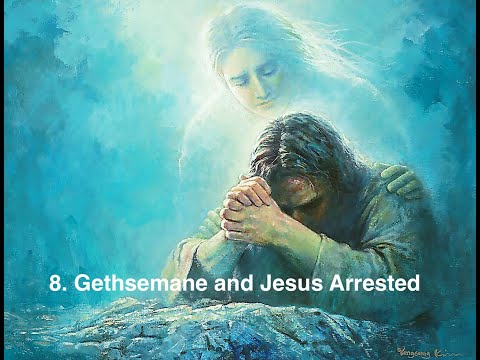 8. Gethsemane and Jesus Arrested (Jesus’ Final Days on Earth series).